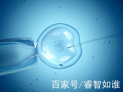 IVF实验室